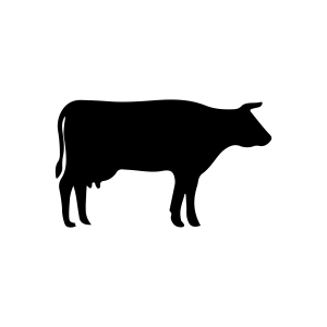 Cow Silhouette SVG Cut & Clipart Files Wild & Jungle Animals SVG