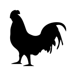 Chicken Silhouette SVG Cut & Clipart File Bird SVG
