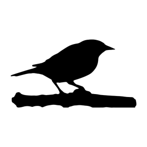 Bird On Branch Silhouette, Muscicapidae SVG Vector Bird SVG