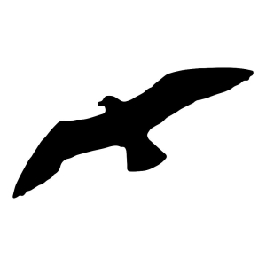 Seagull Silhouette SVG, Seagull Vector Clipart Files Bird SVG