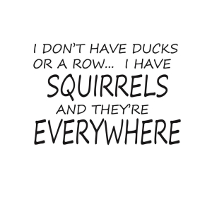 I Don't Have Ducks Or Row SVG, I Have Squirrels SVG, Funny SVG T-shirt SVG