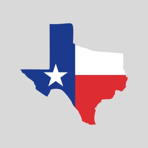 Texas Map Flag SVG Cut File, Instant Download Texas SVG
