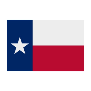 Texas Flag SVG, Texas Flag Vector Instant Download Texas SVG