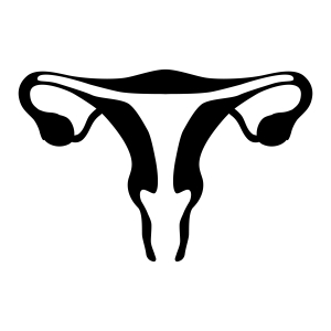 Black Uterus SVG, Uterus Clipart Vector Files Instant Download Anatomy (Skeleton And Skull)