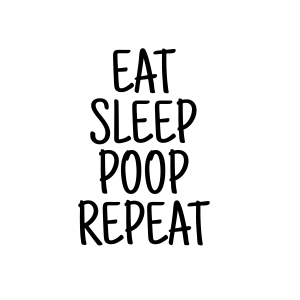 Eat Sleep Poop Repeat SVG, Baby Saying SVG Instant Download Baby SVG