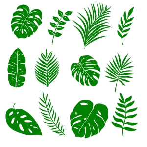 Tropical Leaves SVG, Monstera Leaves Clipart SVG Flower SVG