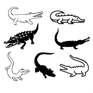 Alligator SVG Bundle Insects/Reptiles SVG
