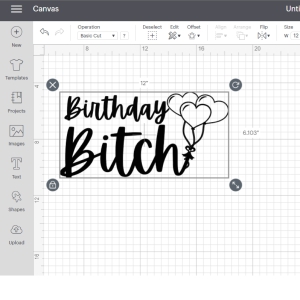 Birthday Bitch SVG Vector Files, Birthday Bitch SVG Files Birthday SVG