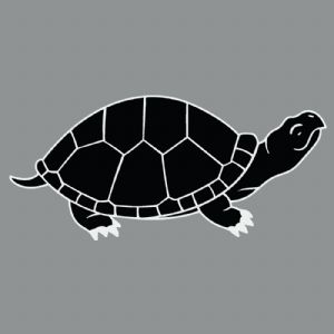 Black And White Turtle SVG Cut File, Black Turtle Vector Instant Download Sea Life and Creatures SVG