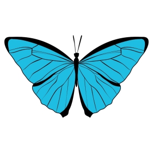 Blue Butterfly SVG Design Insects/Reptiles SVG