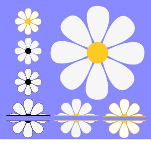 Daisy Bundle SVG Cut File, Flower Bundle SVG Instant Download Flower SVG