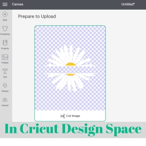 Daisy Monogram SVG, Flower Split SVG Vector Flower SVG