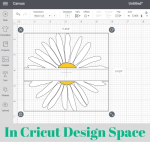 Daisy Monogram SVG, Flower Split SVG Vector Flower SVG