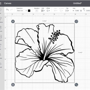 Hand Drawing Hibiscus SVG, Instant Download Flower SVG