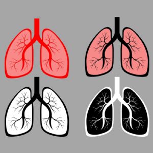 Lungs Bundle SVG, Lungs Vector Files Health and Medical