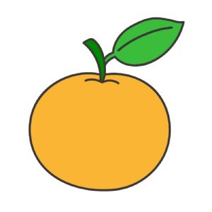 Mandarin SVG, Orange SVG Fruits and Vegetables SVG