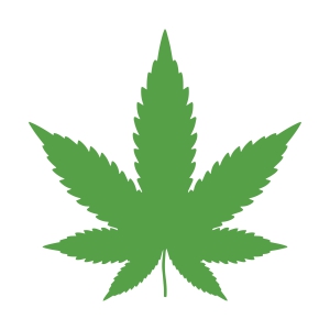 Marijuana Leaf SVG, Weed SVG Instant Download Plant and Flowers SVG