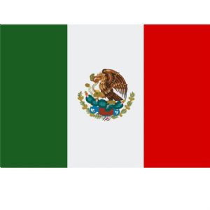 Mexico Flag SVG Design Flag SVG
