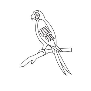 Parrot Clipart SVG, Parrot On Branch SVG Instant Download Bird SVG