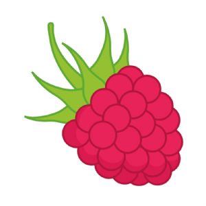 Raspberry Icon, Raspberry SVG Instant Download Fruits and Vegetables SVG