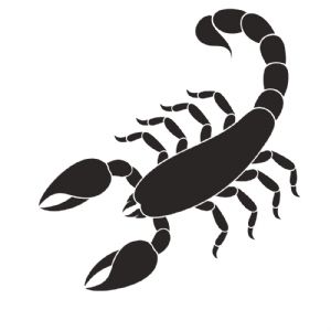 Scorpio SVG, Scorpio Vector Instant Download Sea Life and Creatures SVG