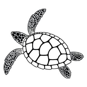 Black Swimming Sea Turtle SVG Cut File Sea Life and Creatures SVG