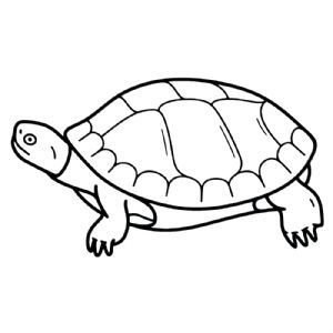 Turtle Black And White SVG, Turtle Vector Instant Download Sea Life and Creatures SVG