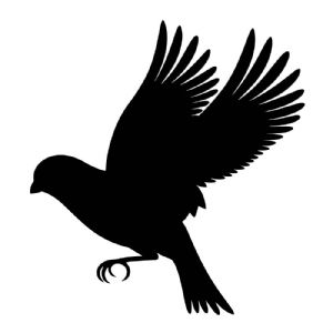 Wild Bird SVG Design, Bird Vector Instant Download Wild & Jungle Animals SVG