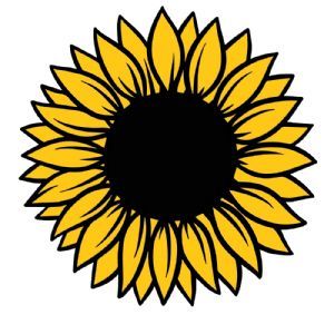 Yellow Sunflower SVG, Sunflower Instant Download Sunflower SVG