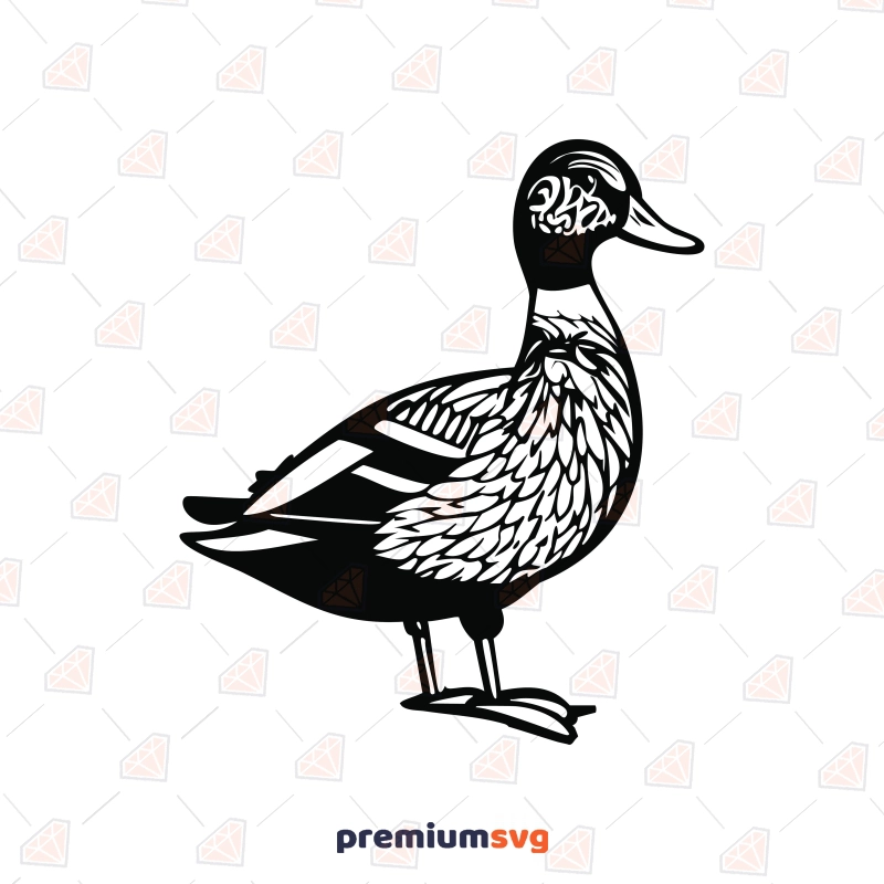 Mallard Duck SVG for Cricut, Mallard Duck Line Art Bird SVG Svg