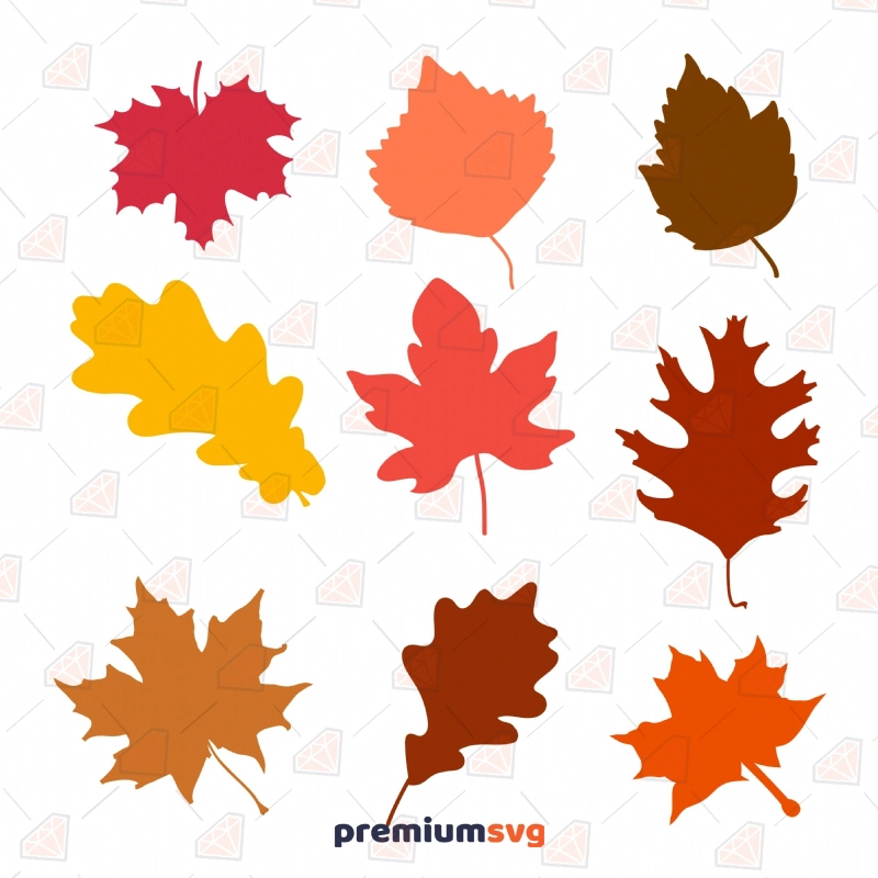 Autumn Fall Leaves SVG Cut & Clipart Files Flower SVG Svg