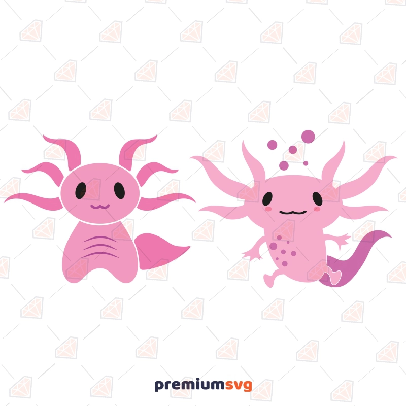 Axolotl Amphibians SVG Designs, Cute Axolotl SVG Wild & Jungle Animals SVG Svg