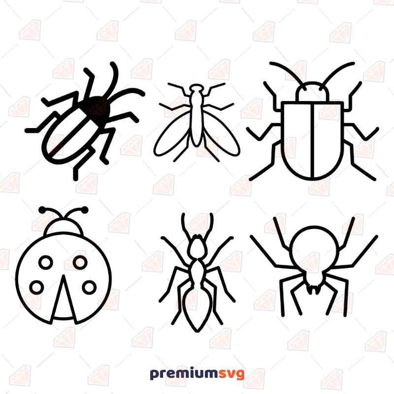 Basic Insect SVG Bundle Insects/Reptiles SVG Svg