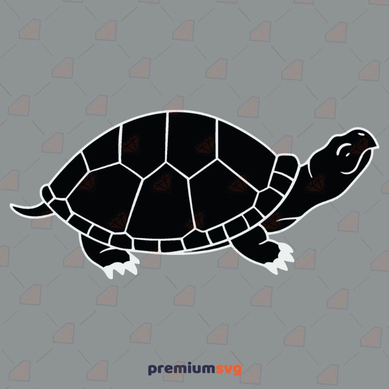 Black And White Turtle SVG Cut File, Black Turtle Vector Instant Download Sea Life and Creatures SVG Svg