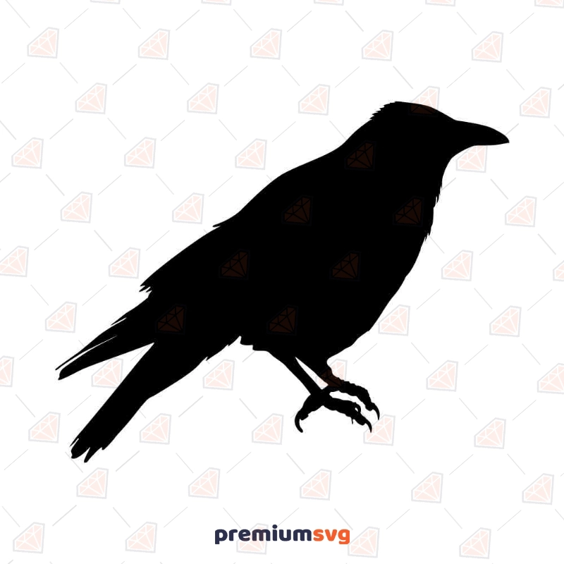 Black Crow SVG File, Crow Vector File Instant Download Bird SVG Svg