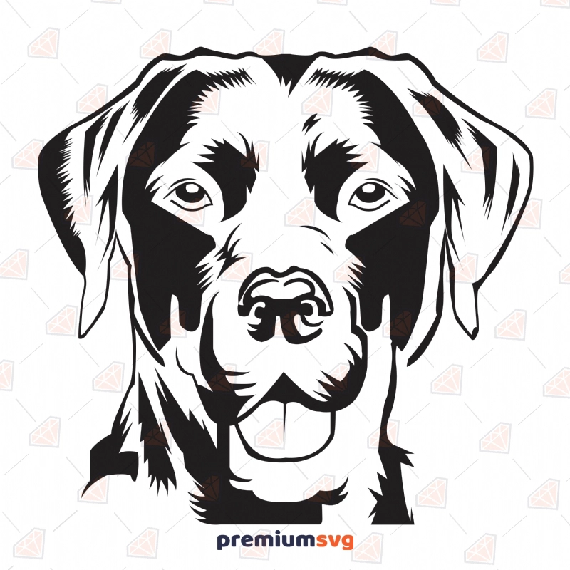 Black Labrador SVG Cut File, Labrador Vector Instant Download Drawings Svg