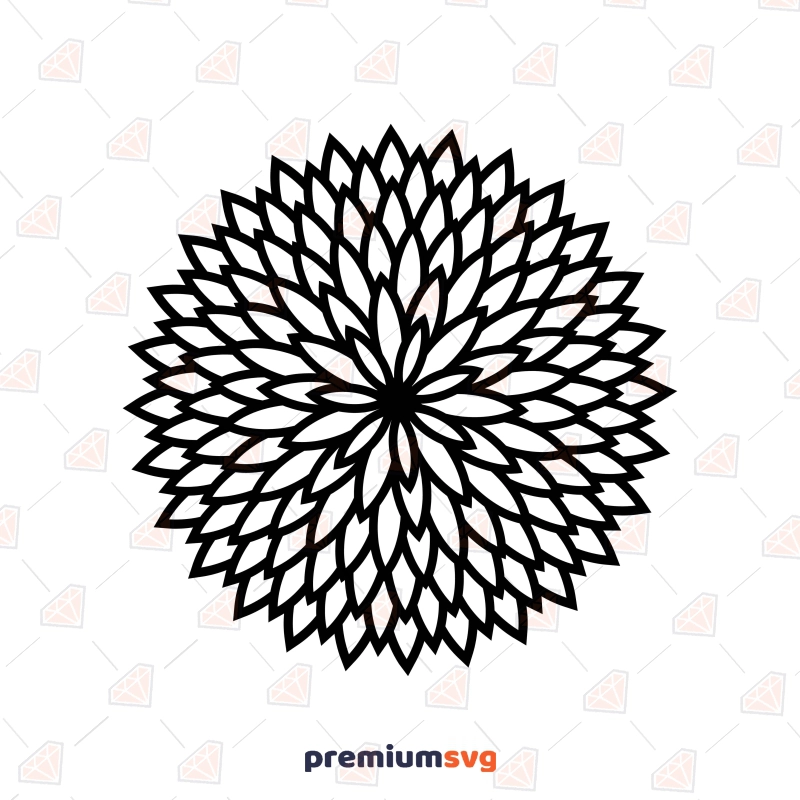 Chrysanthemum Flower SVG Cut & Clipart  File Flower SVG Svg