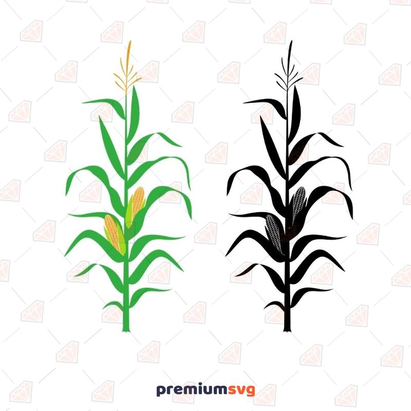 Corn Stalk SVG, Corn Plant SVG Vector Files Flower SVG Svg