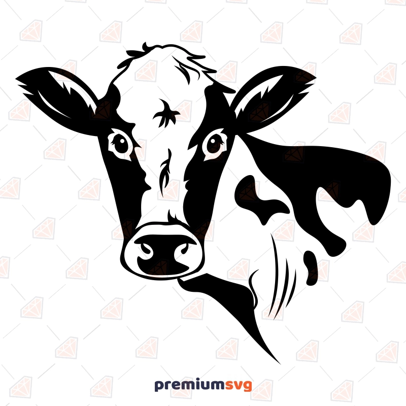 Dairy Cow Head SVG, Angus Face Silhouette Cow SVG Svg