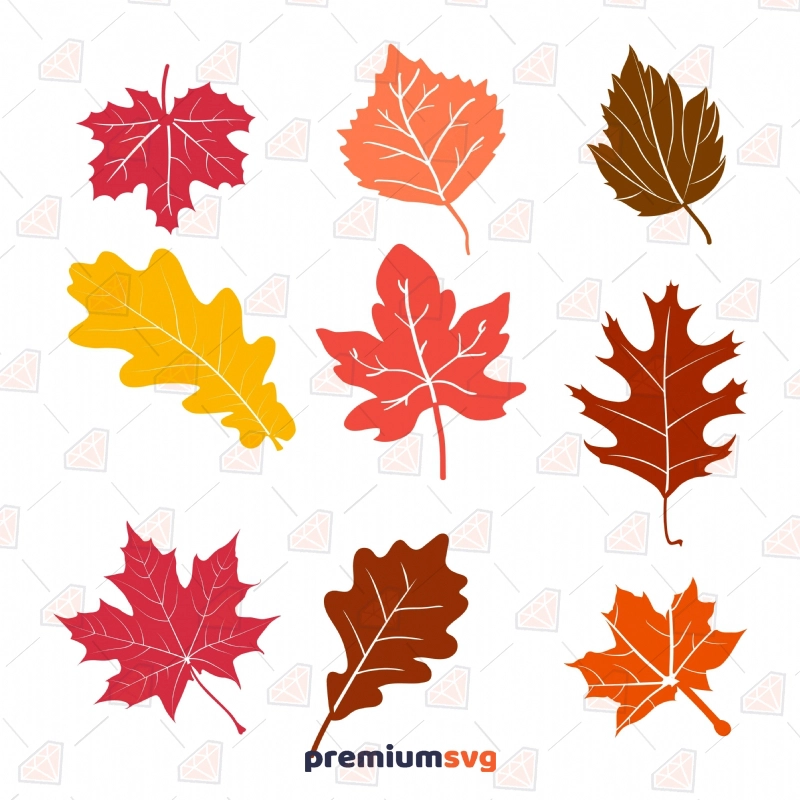 Fall Leaves Bundle SVG Cut and Clipart Files Flower SVG Svg