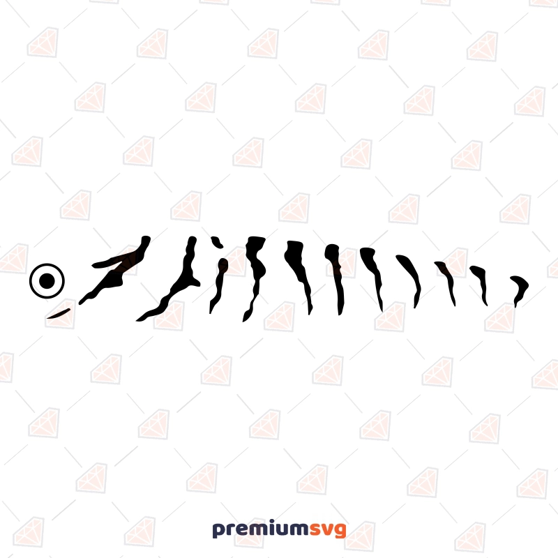 Fishing Lure SVG, Lure Pattern SVG Sea Life and Creatures SVG Svg