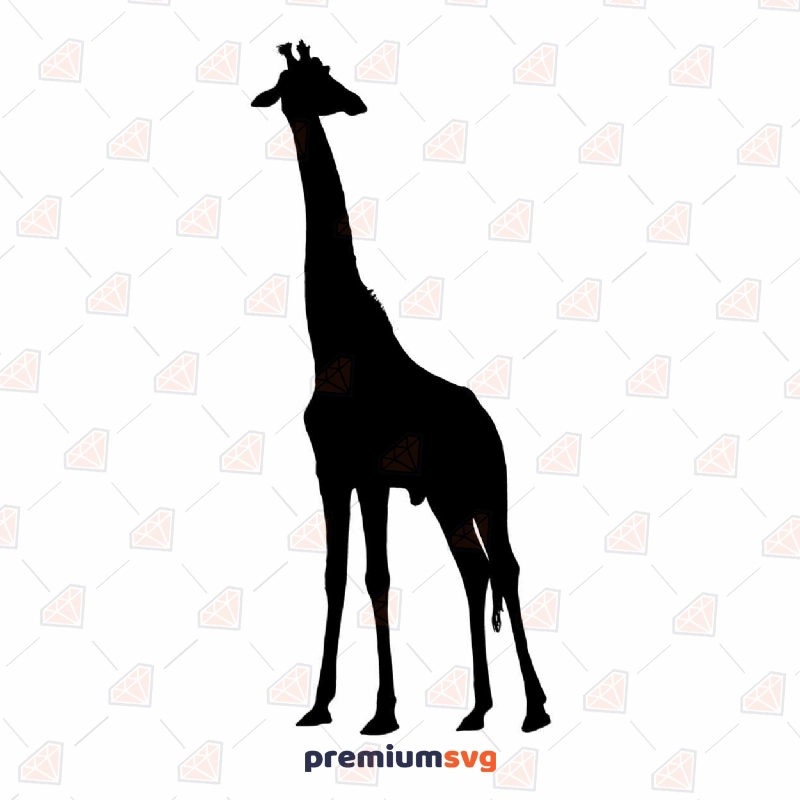 Giraffe SVG Cut File, Giraffe Clipart Instant Download Wild & Jungle Animals SVG Svg