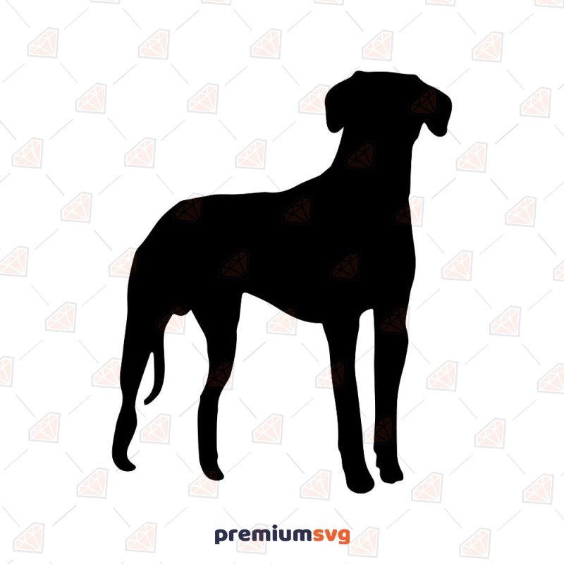 Great Dane SVG, Great Dane Vector Files Instant Download Dog SVG Svg