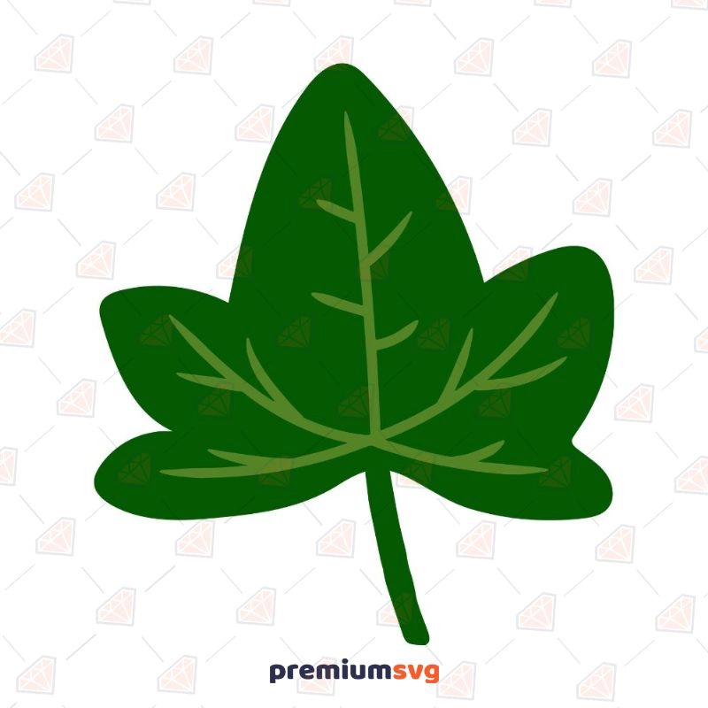 Green Ivy Leaf SVG, Ivy Leaf Vector Instant Download Flower SVG Svg