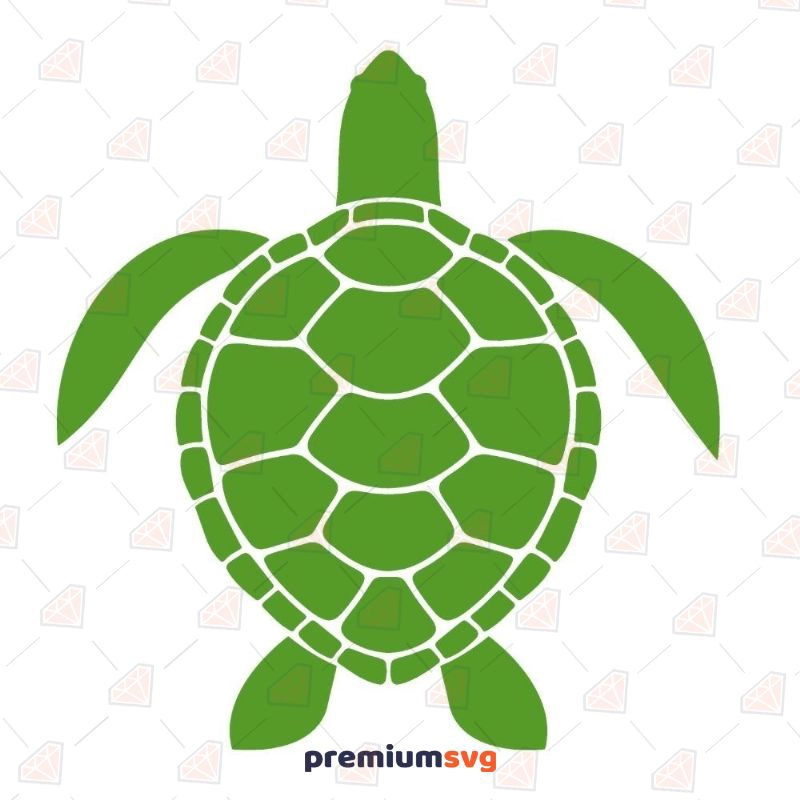 Green Sea Turtle SVG Cut File, Sea Turtle Instant Download Sea Life and Creatures SVG Svg