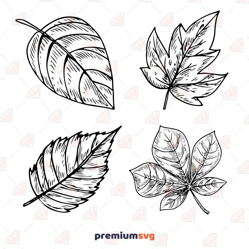 Hand Drawing Leaves SVG, Leaves Bundle SVG Instant Download Flower SVG Svg
