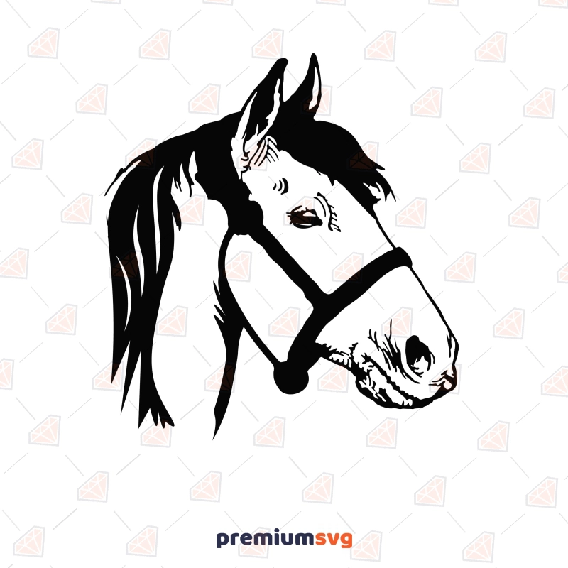 Horse Head Draw SVG, PNG, JPEG Horse SVG Svg