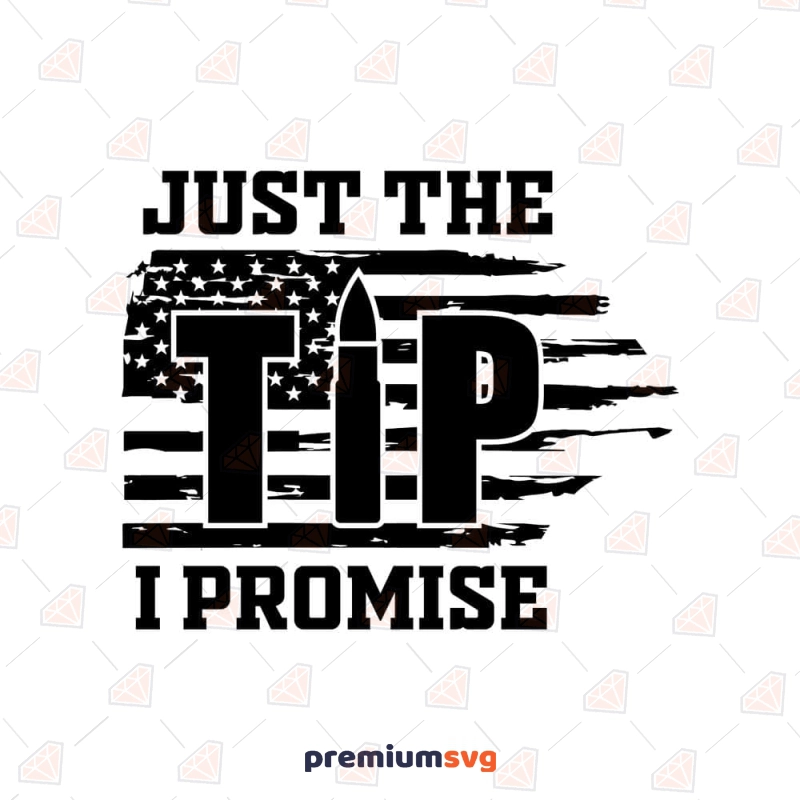 Just the Tip I Promise SVG, Distressed American Flag SVG USA SVG Svg