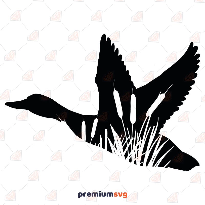 Mallard Duck SVG, Duck Cut File Instant Download Bird SVG Svg