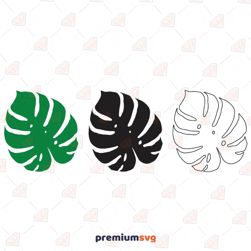 Monstera Leaves SVG Bundle, Monstera Bundle Vector Files Flower SVG Svg